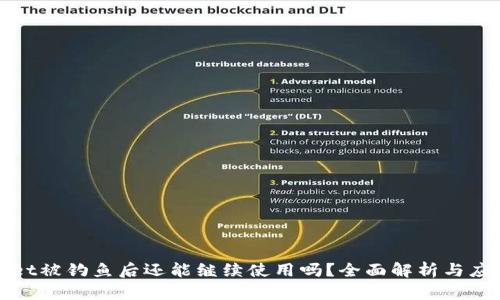 TPWallet被钓鱼后还能继续使用吗？全面解析与应对措施