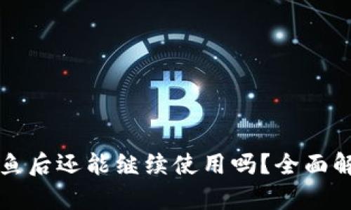 TPWallet被钓鱼后还能继续使用吗？全面解析与应对措施