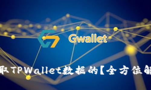 黑客是如何盗取TPWallet数据的？全方位解析与防范措施