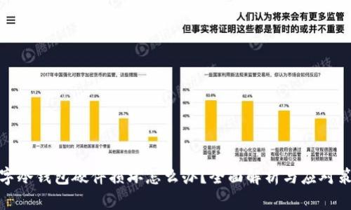 数字冷钱包硬件损坏怎么办？全面解析与应对策略