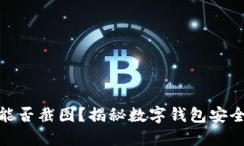 数字钱包能否截图？揭秘数字钱包安全性与风险