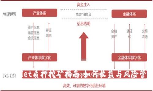 TPWallet质押挖矿指南：如何收益与风险管理