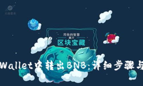 如何在TPWallet中转出BNB：详细步骤与注意事项