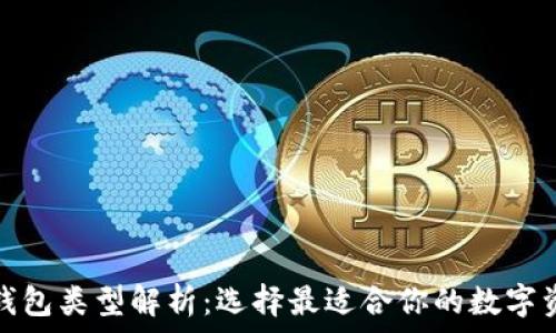   
区块链中的钱包类型解析：选择最适合你的数字资产管理工具