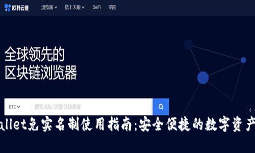 TPWallet免实名制使用指南：安全便捷的数字资产管理