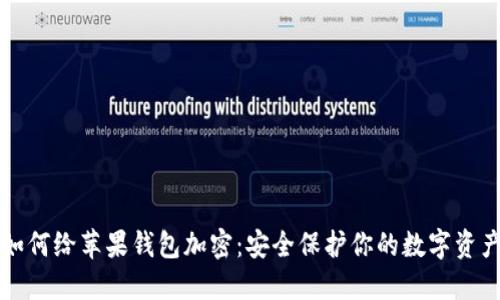 如何给苹果钱包加密：安全保护你的数字资产