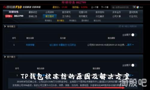 TP钱包被冻结的原因及解决方案