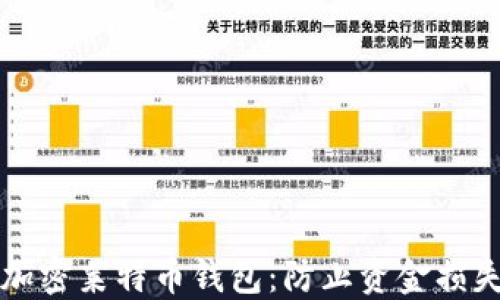 
如何安全地加密莱特币钱包：防止资金损失的终极指南