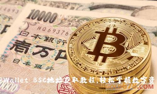 苹果TPWallet BSC地址获取教程，轻松掌握数字资产管理