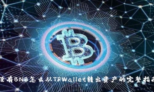 没有BNB怎么从TPWallet转出资产的完整指南