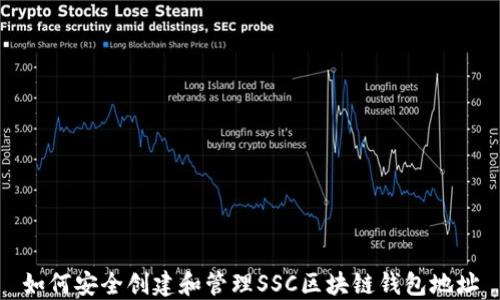 
如何安全创建和管理SSC区块链钱包地址