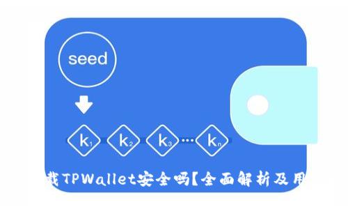 大陆下载TPWallet安全吗？全面解析及用户指南