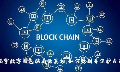 揭穿数字钱包骗局的真相：如何识别并保护自己