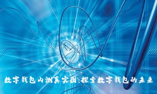 数字钱包内测真实图：探索数字钱包的未来