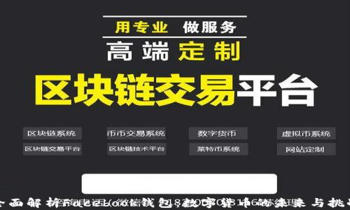 
全面解析Facebook钱包：数字货币的未来与挑战