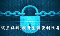 数字钱包试点福利：提升生活便利性与经济效率