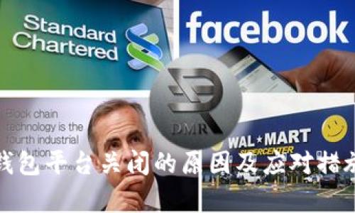 数字钱包平台关闭的原因及应对措施分析