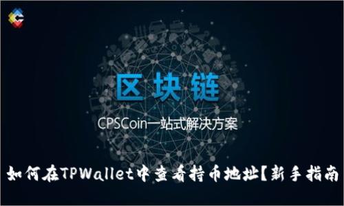 如何在TPWallet中查看持币地址？新手指南