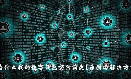 为什么我的数字钱包突然消失？原因与解决方法