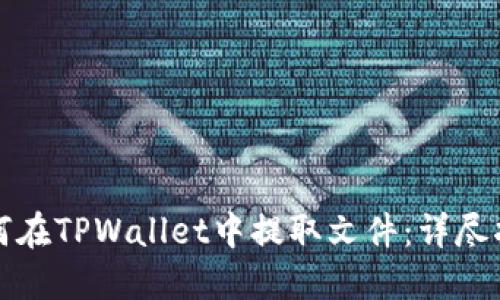 如何在TPWallet中提取文件：详尽指南
