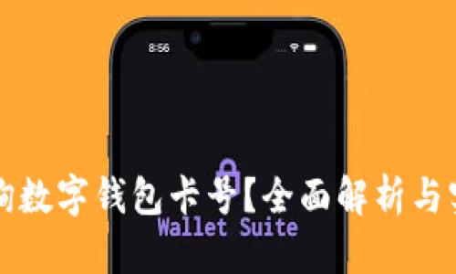 如何查询数字钱包卡号？全面解析与实用指南