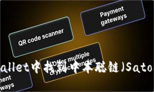 如何在TPWallet中找到中本聪链（Satoshi Chain）