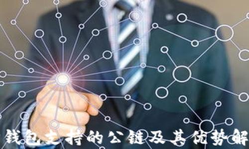 
TP钱包支持的公链及其优势解析