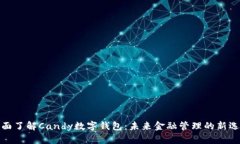 全面了解Candy数字钱包：未