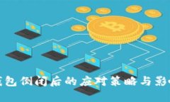 数字钱包倒闭后的应对策略与影响分析