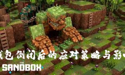 数字钱包倒闭后的应对策略与影响分析