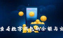 : 怎么查看数字钱包的余额与交易记录
