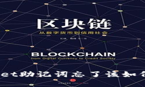 tpwallet助记词忘了该如何处理？