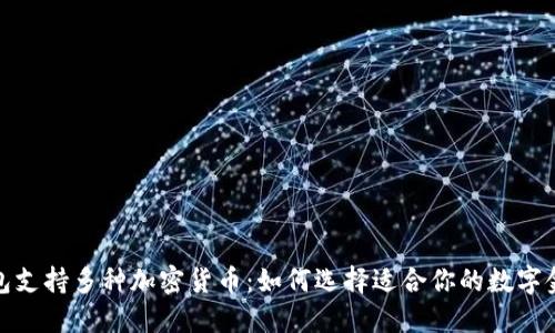 数字钱包支持多种加密货币：如何选择适合你的数字金融工具