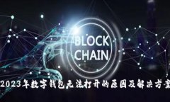 2023年数字钱包无法打开的