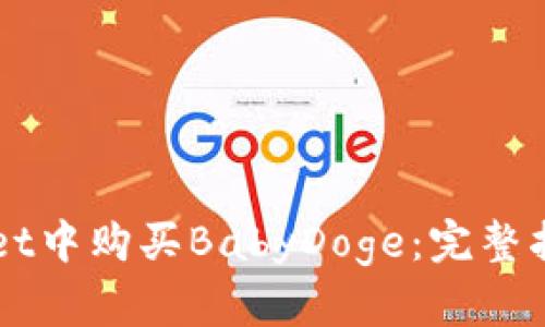 如何在TPWallet中购买BabyDoge：完整指南与实用提示