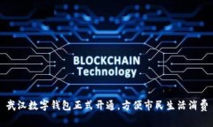 武汉数字钱包正式开通，