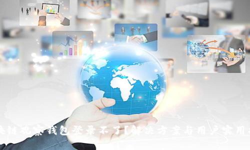 区块链观察钱包登录不了？解决方案与用户实用指南