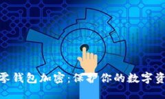  如何给零钱包加密：保护