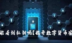 数字钱包能看到私钥吗？