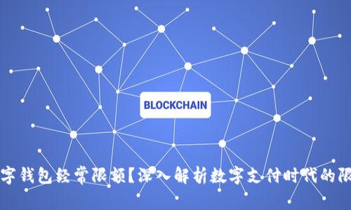 为什么数字钱包经常限额？深入解析数字支付时代的限制与挑战