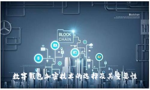 数字钱包加密技术的选择及其重要性