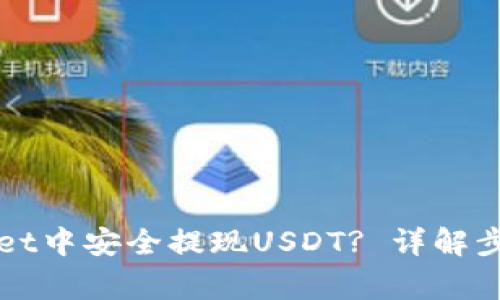 如何在TPWallet中安全提现USDT? 详解步骤与注意事项