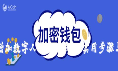 如何增加数字人民币子钱包：实用步骤与技巧