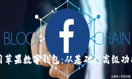 如何充分利用苹果数字钱包：从基础到高级功能的全面指南