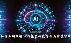 如何正确理解BV钱包里的数