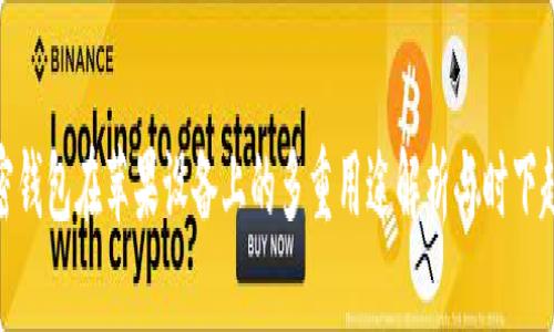 加密钱包在苹果设备上的多重用途解析与时下趋势