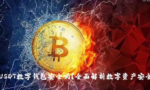 USDT数字钱包安全吗？全面解析数字资产安全
