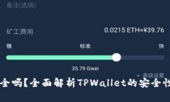 TPWallet安全吗？全面解析