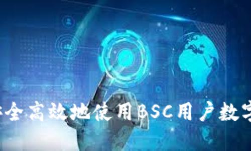 如何安全高效地使用BSC用户数字钱包？