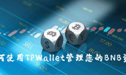 如何使用TPWallet管理您的BNB资产